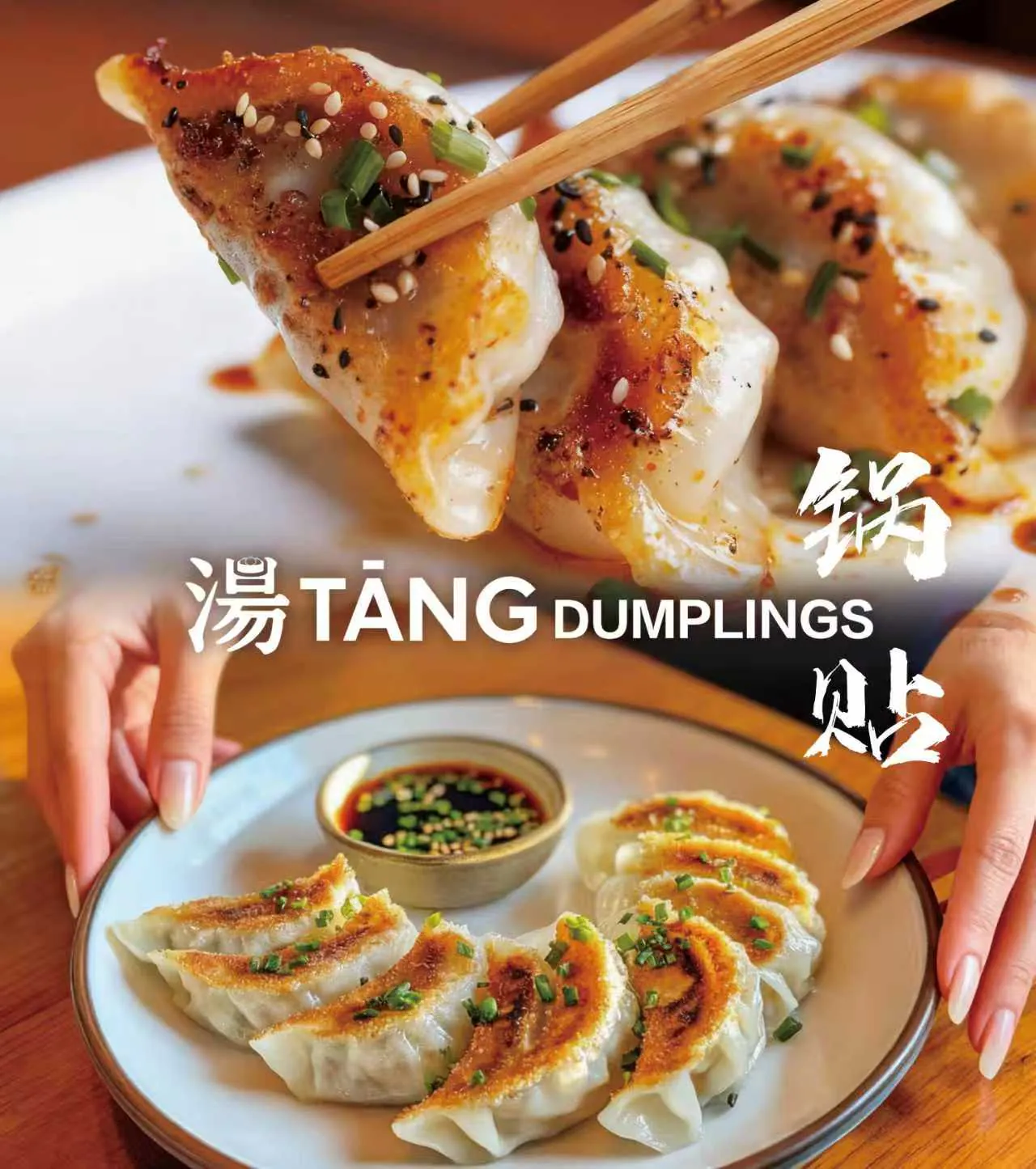 Potsticker at Tang Dumplings, Chinese Restaurant in Hummelstown